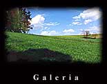 Do galerii